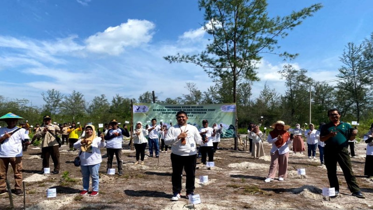 Kegiatan penanaman 215 batang tanaman herbal kayu putih oleh kantor Loka POM Belitung di kawasan ekowisata Gusong Bugis, Desa Juru Seberang, Belitung (ANTARA/Kasmono-Aprliansyah)