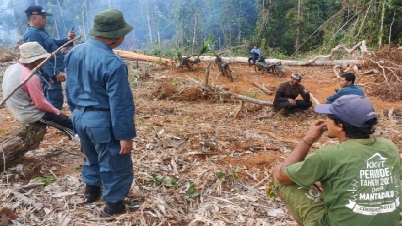 Suasana lokasi perambahan dan pembakaran hutan Kawasan Hutan Konservasi CA Faruhumpenai, Desa Mantadalu, Kabupaten Luwu Timur, Sulawesi Selatan. ANTARA/HO-Dokumentasi Balai Gakkum KLHK Wilayah Sulawesi.
