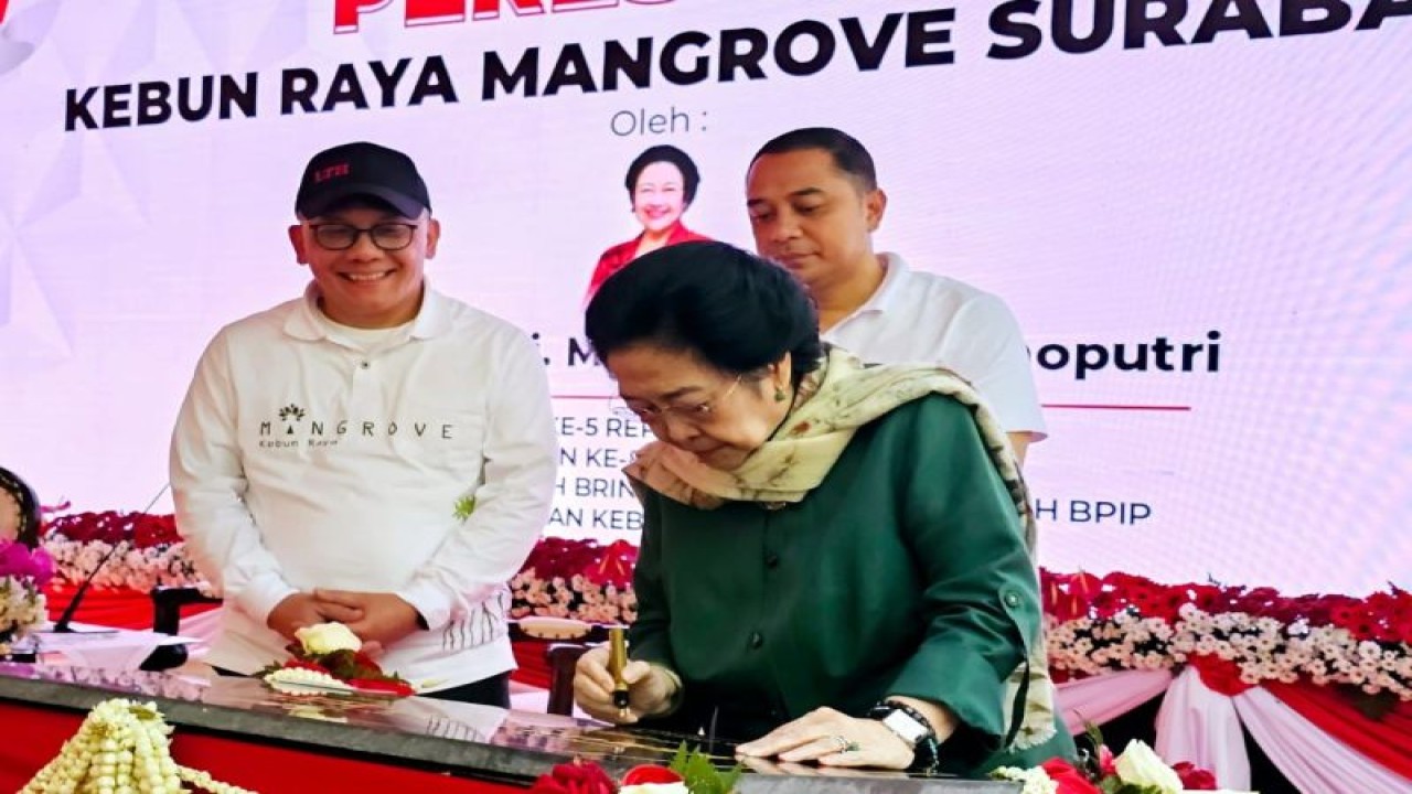 Ketua Badan Riset dan Inovasi Nasional (BRIN) Laksana Tri Handoko, Ketua Dewan Pengarah BRIN Megawati Soekarnoputri dan Wali Kota Surabaya Eri Cahaydi saat di acara peresmian Kebun Raya Mangrove Gunung Anyar, Kota Surabaya, Rabu (26/7/2023). (ANTARA/HO-Diskominfo Surabaya)