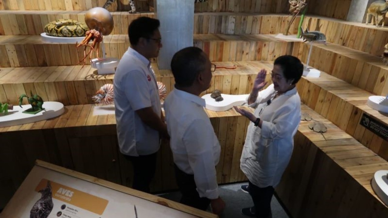 Presiden Indonesia kelima Megawati Soekarnoputri (kanan) bersama Kepala BRIN Laksana Tri Handoko (tengah) dan Direktur utama Animalium Erry Erlangga (kiri) melihat koleksi satwa liar Animalium yang berlokasi di Kawasan Sains dan Teknologi Soekarno, Cibinong, Kabupaten Bogor, Jawa Barat, Rabu (5/7/2023). (ANTARA/Sugiharto Purnama)