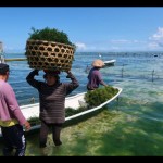 Menaruh asa kepada laut-1688376302