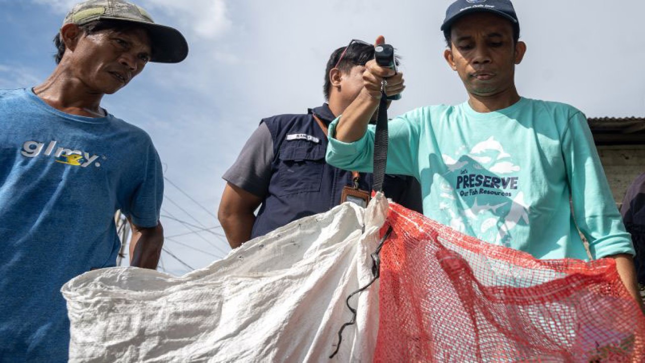 Ilustrasi - Petugas menimbang sampah plastik milik nelayan yang dikumpulkan dari laut di Pantai Mamboro, Palu, Sulawesi Tengah, Minggu (9/7/2023). ANTARA FOTO/Basri Marzuki/Spt.