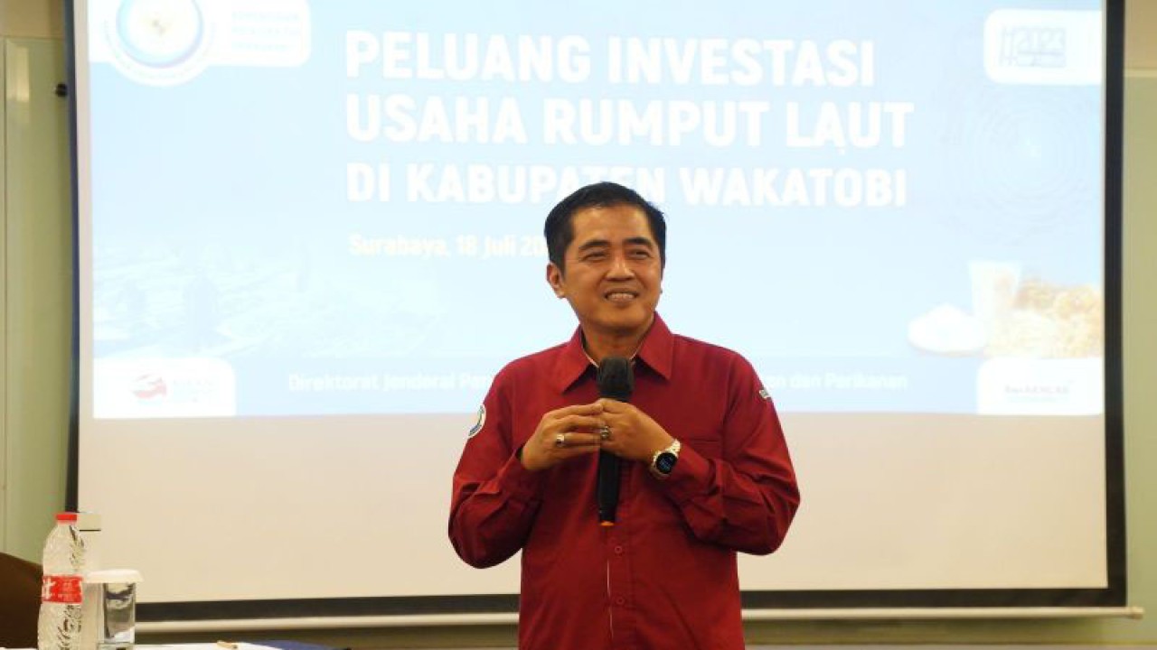 Dirjen Penguatan Daya Saing Produk Kelautan dan Perikanan (PDSPKP) Kementerian Kelautan dan Perikanan Budi Sulistiyo. ANTARA/HO-KKP