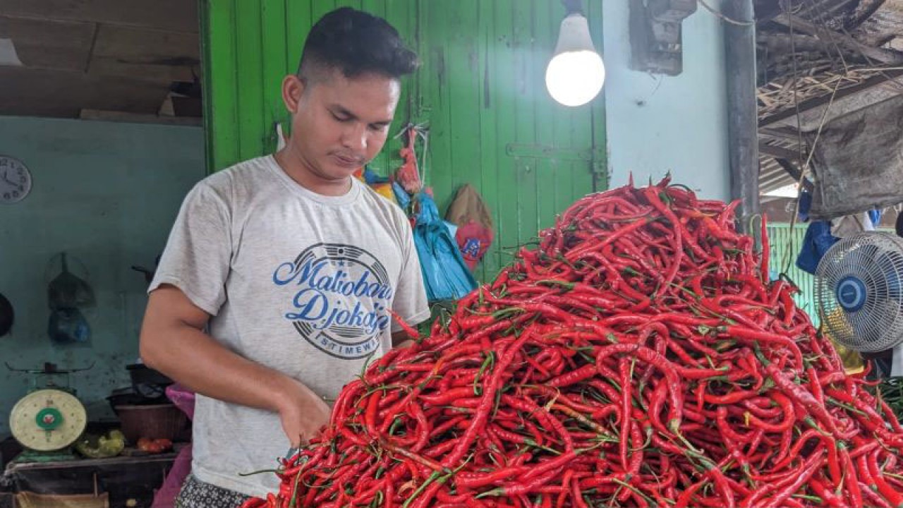 Arsip foto - Pedagang cabai merah beraktivitas di tokonya di Pasar Pulo Brayan, Medan, Sumut, Kamis (25/5/2023). (ANTARA/Michael Siahaan)