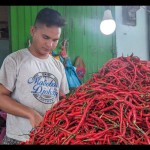 pedagang-1688378018