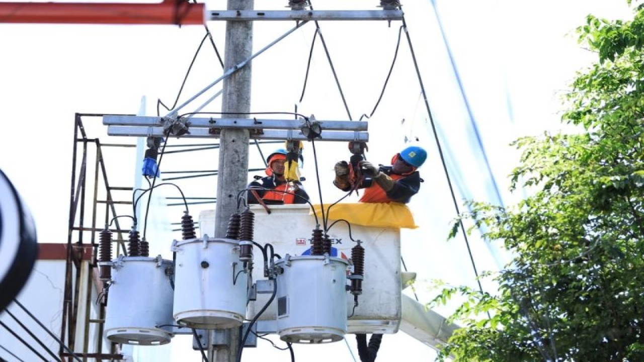 Pekerja PLN saat pemeliharaan tanpa padam di Kabupaten Banyuwangi, Jawa Timur, Rabu (12/7/2023). ANTARA/HO-PLN