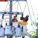 Pekerja PLN saat pemeliharaan tanpa padam di Kabupaten Banyuwangi, Jawa Timur, Rabu (12/7/2023). ANTARA/HO-PLN-1689158940
