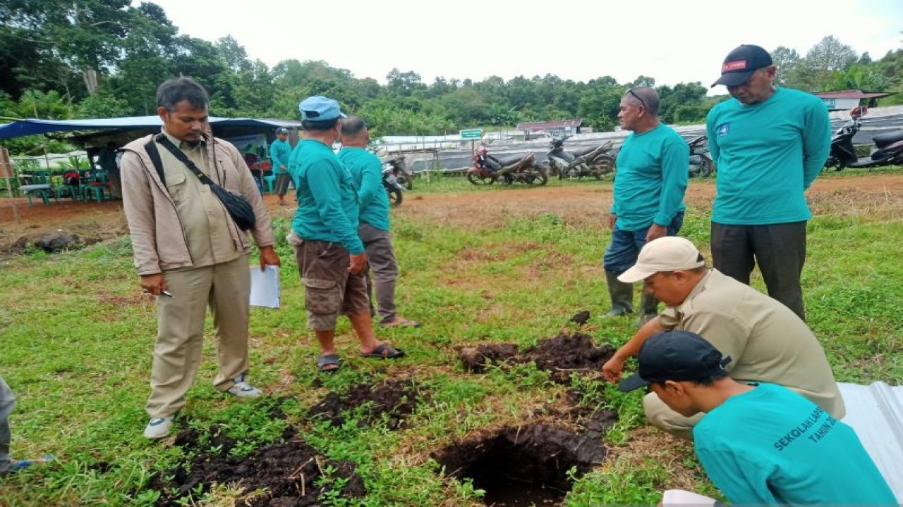 Pelatihan budidaya tanaman bawang merah di Belitung, Babel. ANTARA/Apriliansyah