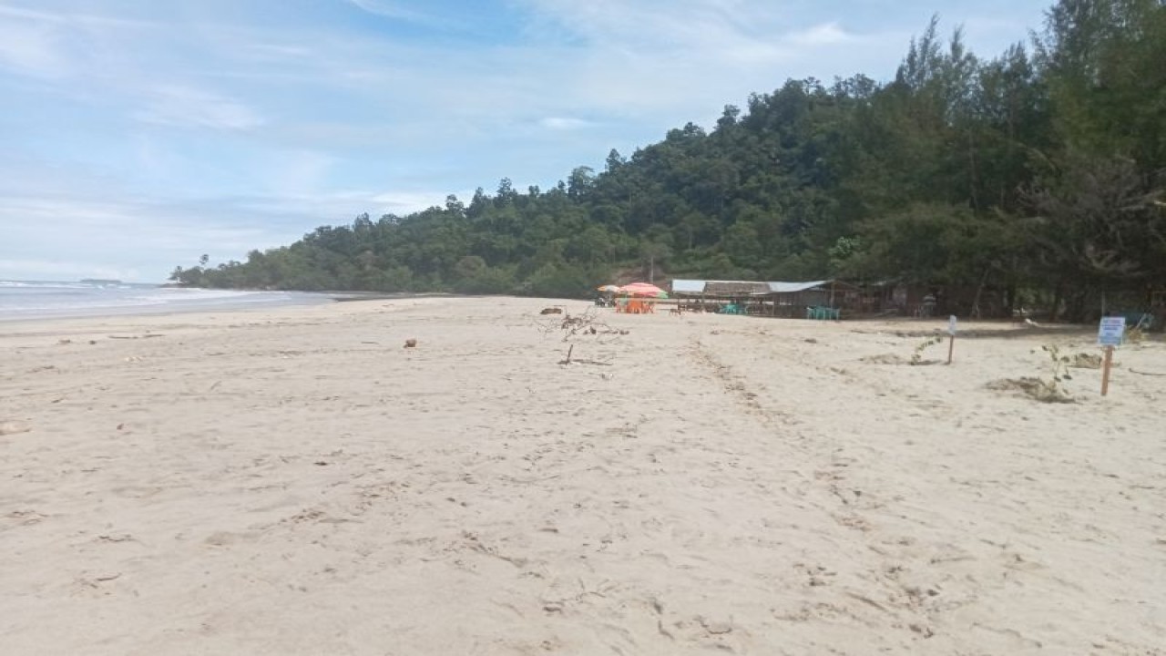 Selain menjadi destinasi wisata andalan Pasaman Barat, Pantai Sikabau Parit Koto Balingka juga potensi pengembangan tambak udang vaname serta daerah pantai lainnya di Pasaman Barat, Minggu (23/7/2023). Antara/Altas Maulana.