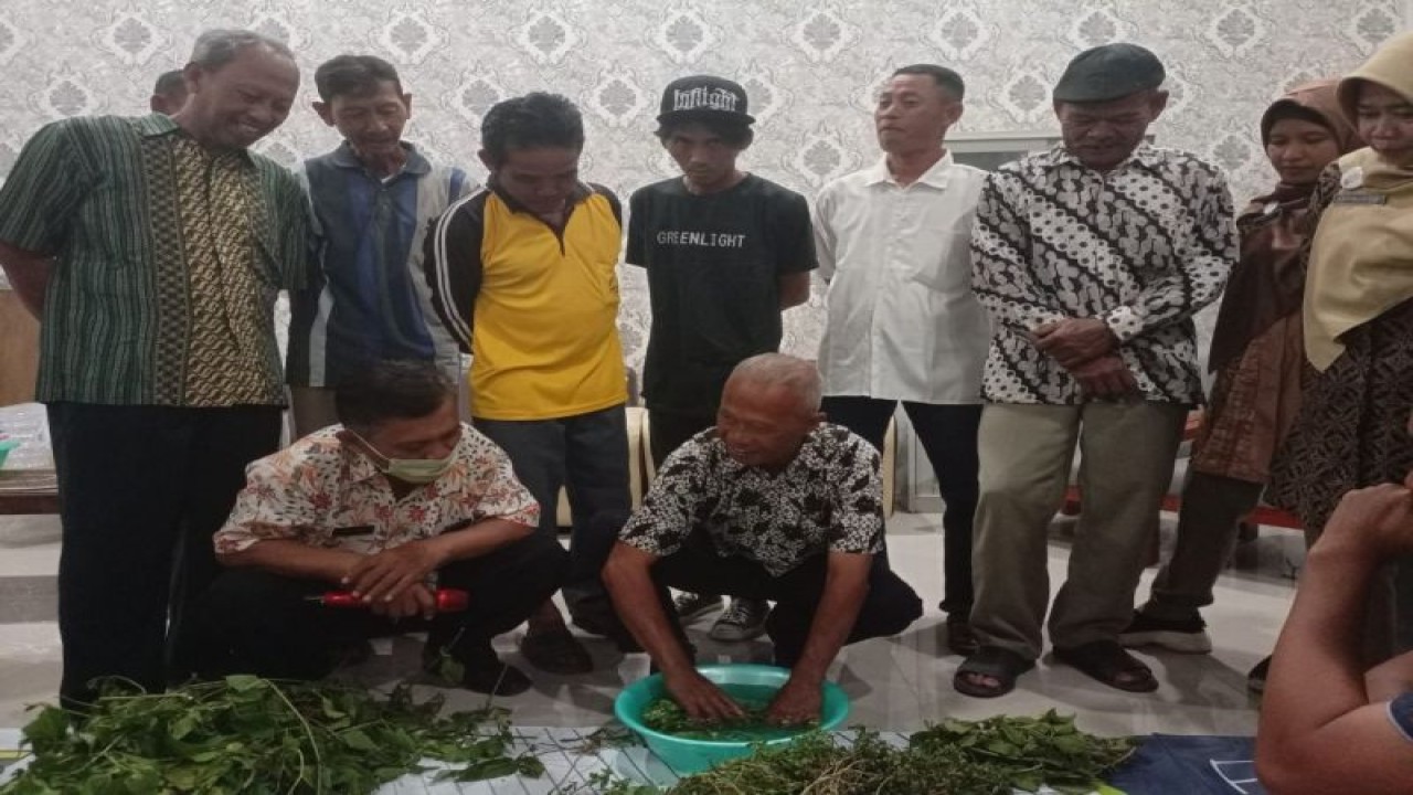 Kepala Dinas Pertanian dan Pangan Muadi sedang memperhatikan proses pembuatan biosaka untuk menjaga ketahanan tanaman dari serangan hama dan penyakit, Kamis (27/7/2023). (ANTARA/HO-Humas Kota Pekalongan)