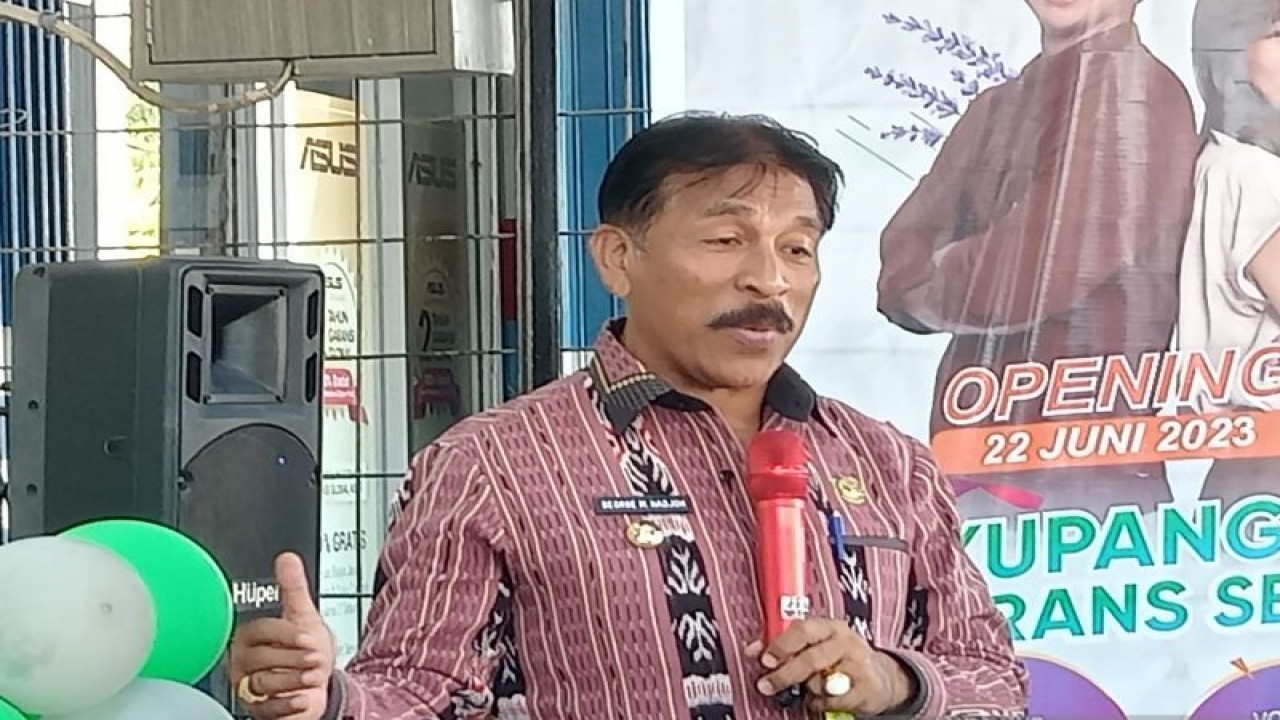 Penjabat Wali Kota Kupang Provinsi Nusa Tenggara Timur George Melkianus Hadjoh (FOTO ANTARA/Benny Jahang)