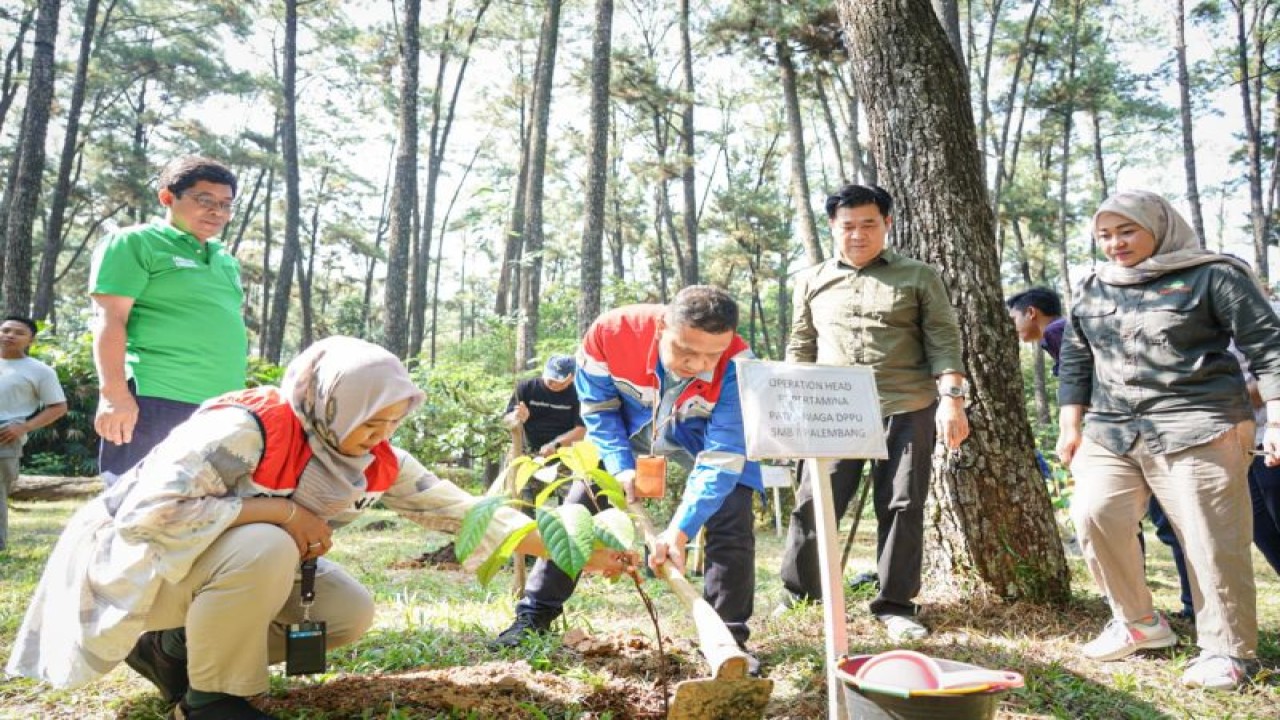 Pertamina Patra Niaga Regional Sumatra Bagian Selatan (Sumbagsel) melakukan penanaman 600 bibit  pohon di Taman Wisata Punti Kayu Kota Palembang, Sumatra Selatan. (ANTARA/HO-Pertamina)