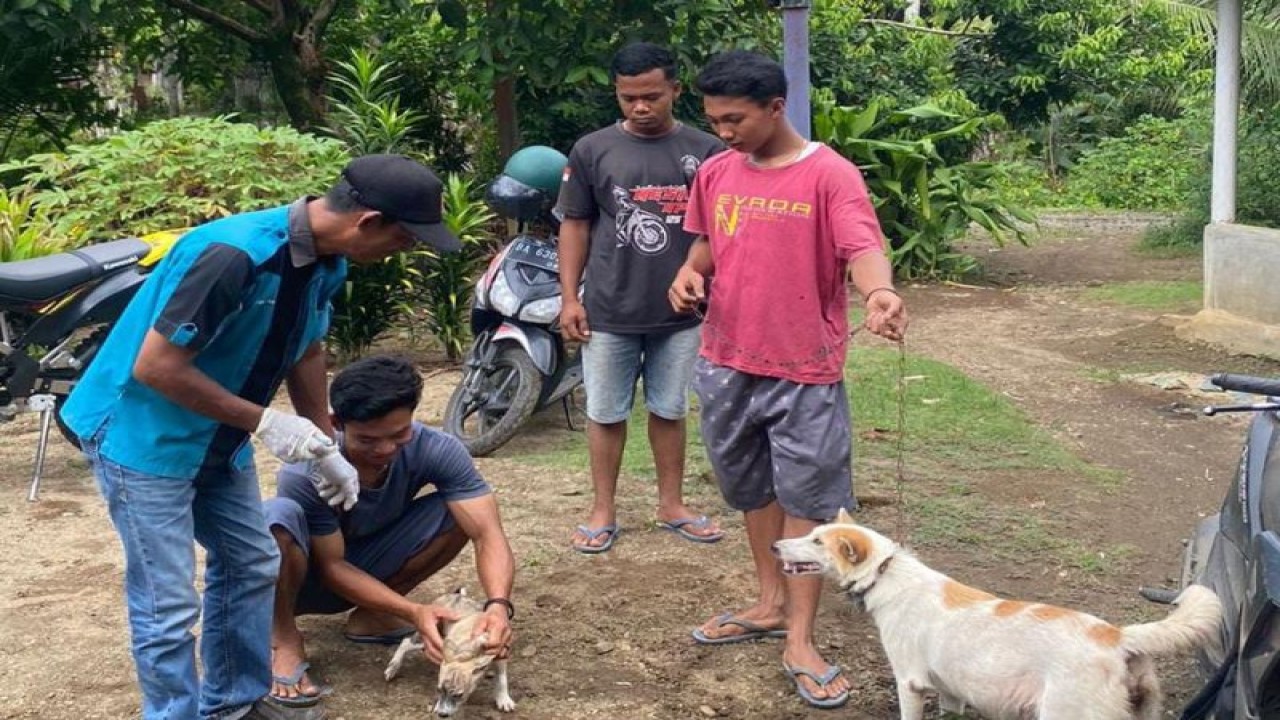 Petugas kesehatan hewan di Pasaman Barat melakukan suntik Vaksin Anti Rabies (VAR) terhadap hewan peliharaan masyarakat di daerah itu karena maraknya Gigitan Hewan Peliharaan Rabies (GHPR), Kamis. Antara/Altas Maulana.