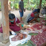 Petugas kesehatan hewan Kulon Progo memantau penyembelihan hewan kurban. ANTARA/HO-Dinas Pertanian dan Pangan Kulon Progo-1688370601