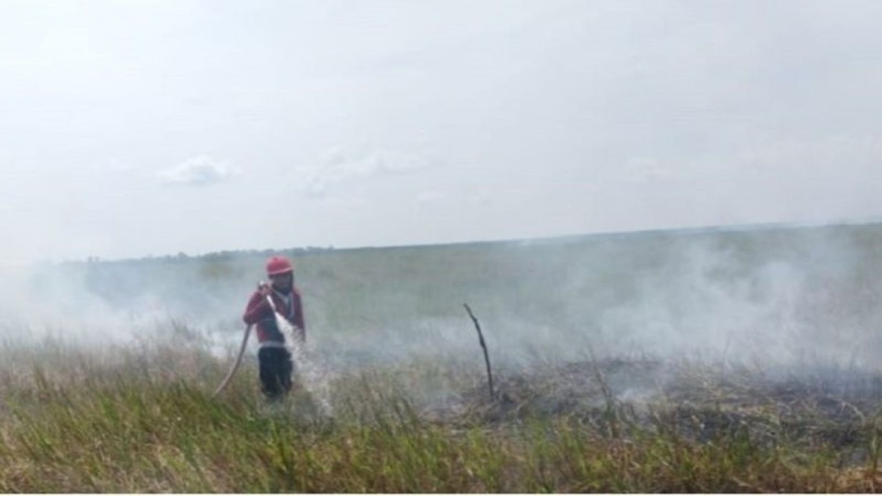 Petugas sedang memadamkan kebakaran lahan. (Antara/Imam Hanafi/faturahkam)