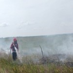 Petugas sedang memadamkan kebakaran lahan. (Antara/Imam Hanafi/faturahkam)-1688373911