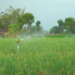 PLN sebut "program electrifying agriculture" tumbuh 22,28 persen-1690190836