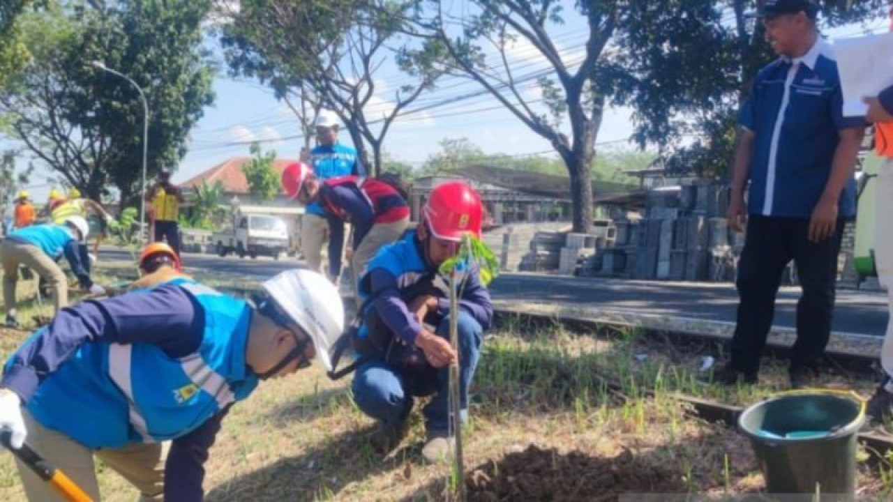 Aksi tanam pohon di jalur nasional penghubung Pulau Madura di Jalan Raya Blega menuju Sampang oleh PLN UP3 Pamekasan, Jatim, Kamis (20/7/2023). (FOTO ANTARA/HO-PLN UP3 Pamekasan)