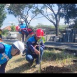 PLN tanam ratusan pohon di jalur nasional penghubung Pulau Madura-1689839371