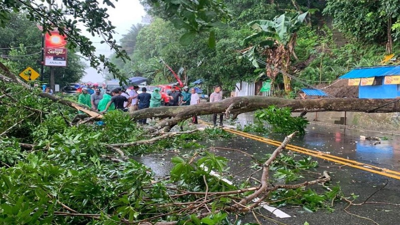 Cuaca ekstrem di Pulau Ambon menyebabkan sejumlah titik mengalami bencana longsor dan pohon tumbang hingga menutupi akses lalu lintas namun tidak sampai meninbulkan korban jiwa. (13/7) (ANTARA/HO/Polresta)