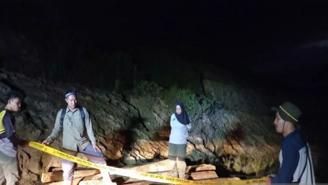 Satuan Polisi Hutan dari Dinas Kehutanan Kalimantan Selatan mengamankan puluhan potong kayu berjenis rimba campuran di Desa Pemalongan, Kecamatan Bajuin, Kabupaten Tanah Laut. (ANTARA/Firman)