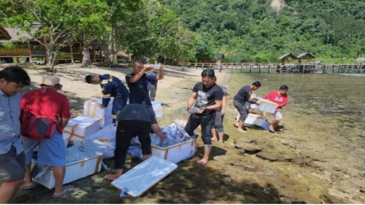 Polisi saat mengamankan benih lobster yang diselundupkan dalam 13 kotak stereofoam. (ANTARA/HO-Polres Inhil)