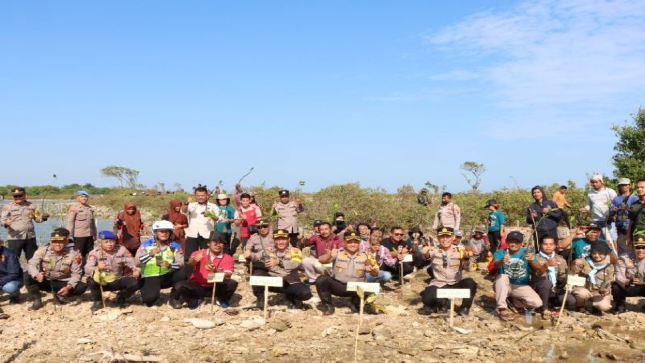 Penanaman tanaman bakau (mangrove) di sepanjang Pantai Kropak, Desa Bondo, Kecamatan Bangsri, Kabupaten Jepara, Jawa Tengah, untuk mencegah terjadinya abrasi di sepanjang pantai setempat, Jumat (21/7/2023). (ANTARA/HO-Polisi Jepara.)