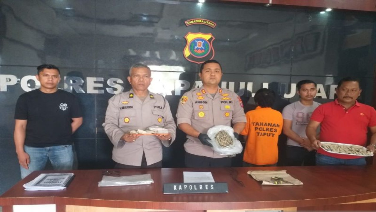 Kapolres Tapanuli Utara AKBP Johanson Sianturi (nomor tiga dari kiri) saat konferensi pers penangkapan bandar narkoba jenis ganja. (ANTARA /H0- Humas Polres Taput).