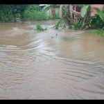 Salah satu jalan di Kabupaten Bengkulu Tengah yang terendam banjir. ANTARA/Anggi Mayasari-1688633340