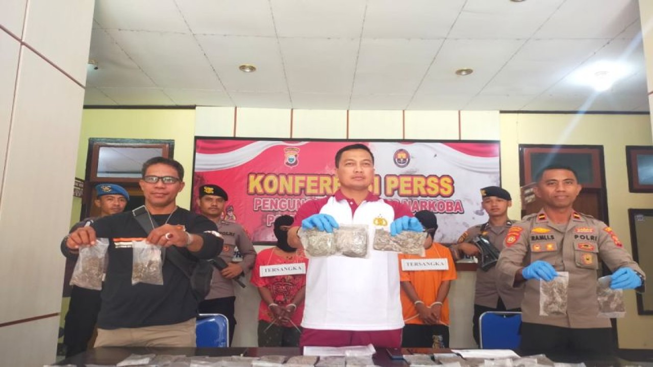 Satresnarkoba Polres Kabupaten Halmahera Tengah berhasil meringkus dua pelaku yang diduga sebagai pengedar narkoba jenis ganja di daerah itu, Jumat (21/7/2023). ANTARA/Abdul Fatah (Abdul Fatah)