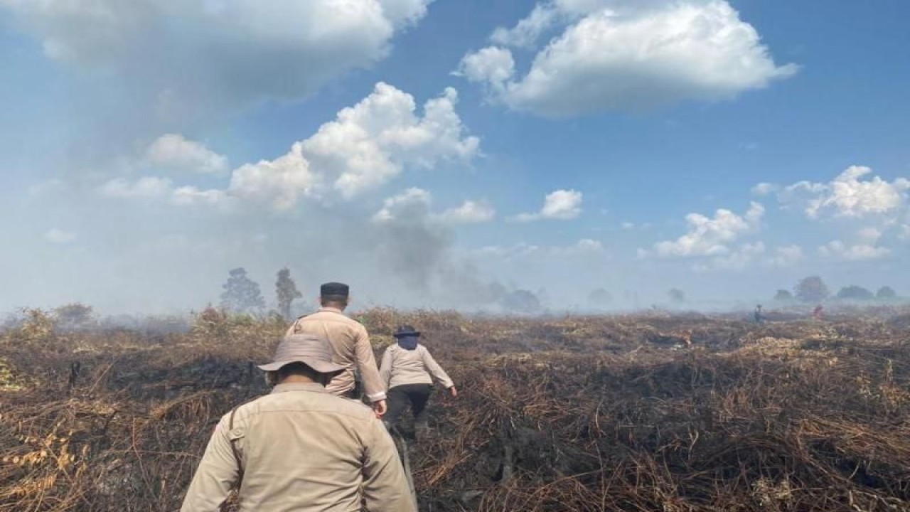 Sejumlah petugas memadamkan karhutla di Desa Teluk Bano, Kabupaten Rokan Hilir. (ANTARA/HO-BPBD Riau)