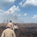 Sejumlah petugas memadamkan karhutla di Desa Teluk Bano, Kabupaten Rokan Hilir. (ANTARA/HO-BPBD Riau)-1689677096