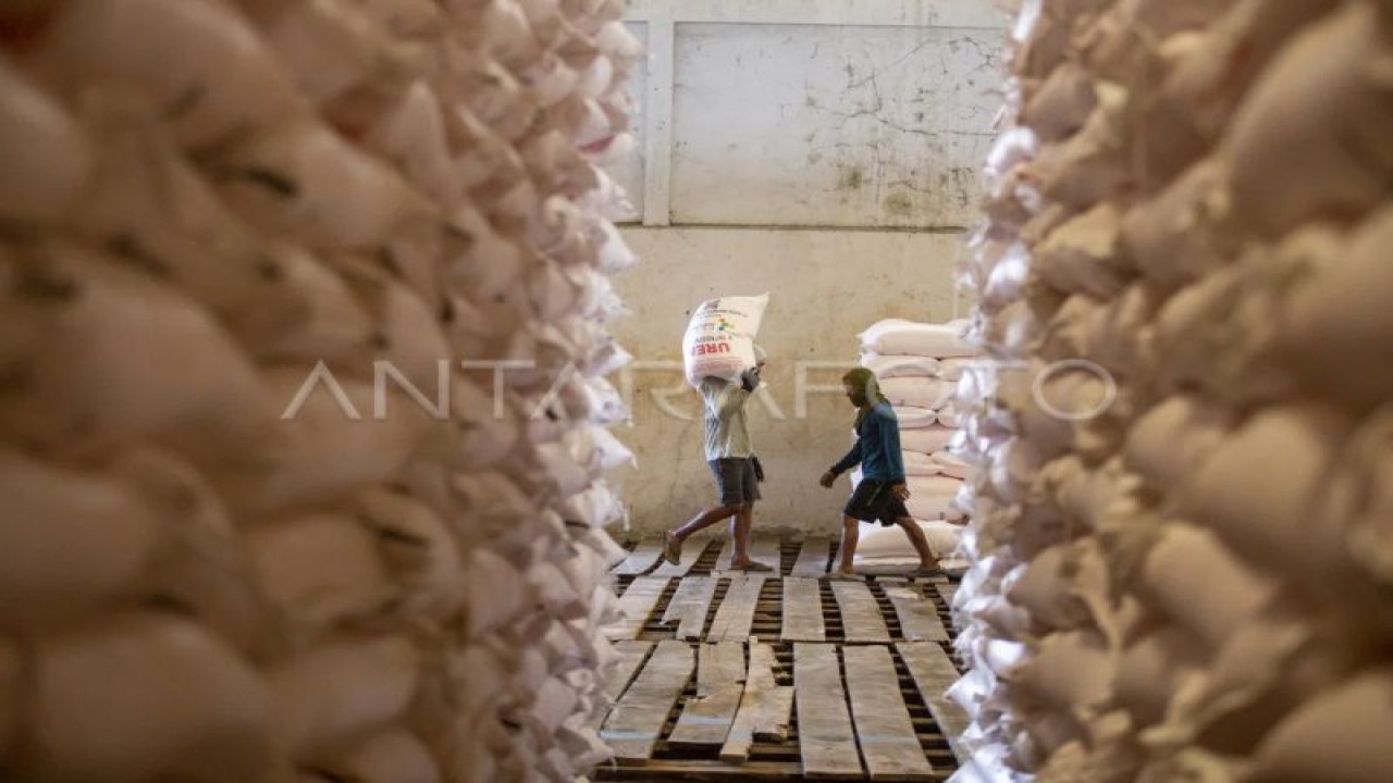 Pekerja mengangkut pupuk urea di gudang lini 3 Jatibarang pupuk Kujang, Indramayu, Jawa Barat, Rabu (12/7/2023). (ANTARA FOTO/Dedhez Anggara/nym).