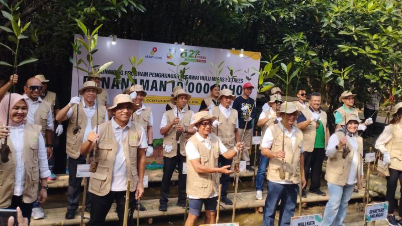 Suasana peluncuran program penghijauan pegawai hulu migas "one two trees" ditandai dengan penanaman 10.000 pohon di Taman Mangrove Jakarta, Pantai Indah Kapuk, Jakarta Utara, Sabtu (29/7/2023). ANTARA/Benardy Ferdiansyah