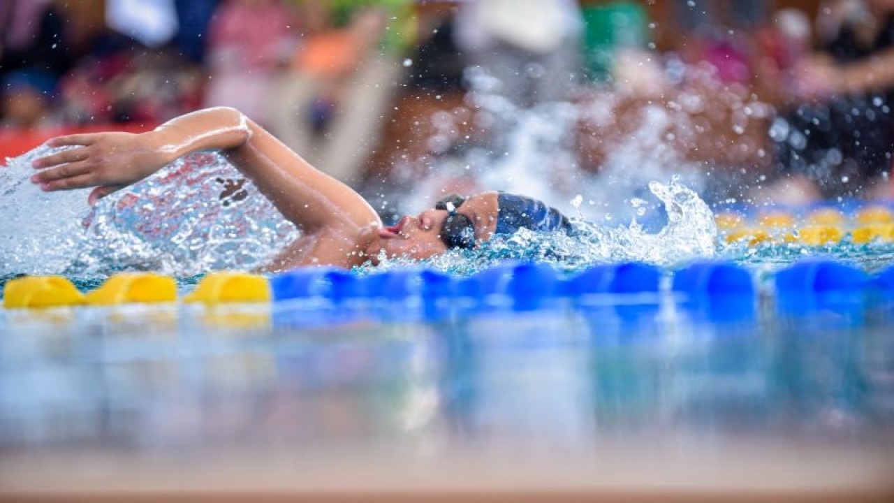 Perenang anak-anak yang mengikuti Speedo Dash Splash, Minggu (23/7/2023). (ANTARA/HO/Dash Sports)
