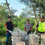 Suasana saat pelepasliaran burung hasil sitaan di hutan kawasan gunung Rajabasa (ANTARA/HO/humas Polres Lamsel)-1690281306
