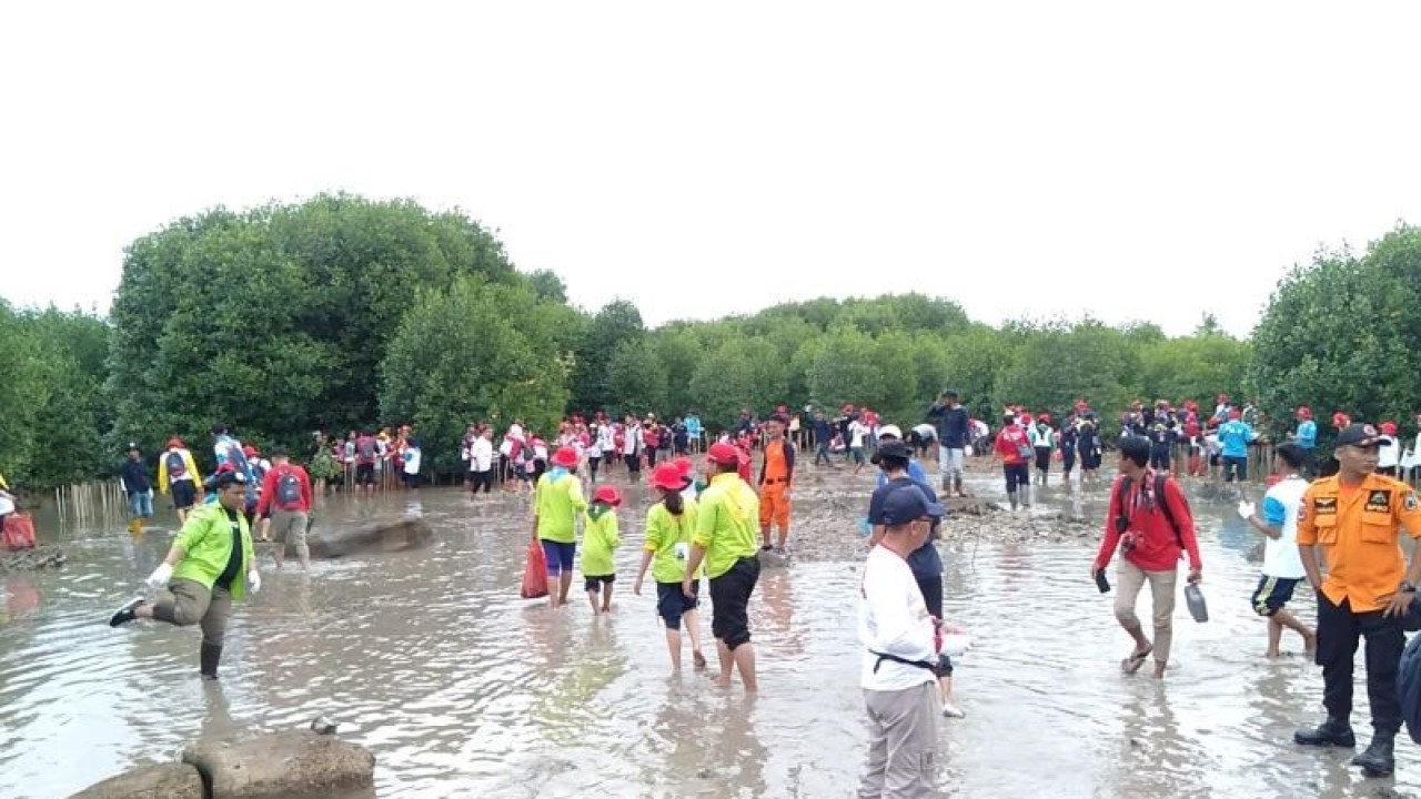 Suasanan para peserta Jumbara saat melakukan penanaman mangrove di Lampung Selatan. (ANTARA/Riadi Gunawan)