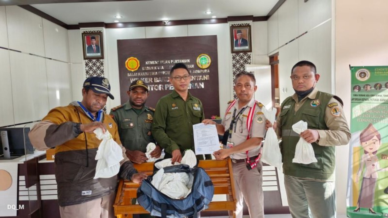 Tim Karantina Pertanian Jayapura bersama Avsec Angkasa Pura Logistik Bandara Sentani dan Avsec BKO Lanud Silas Papare berhasil menggagalkan 71 reptil selundupan. (HO-Humas Karantina Pertanian Jayapura)