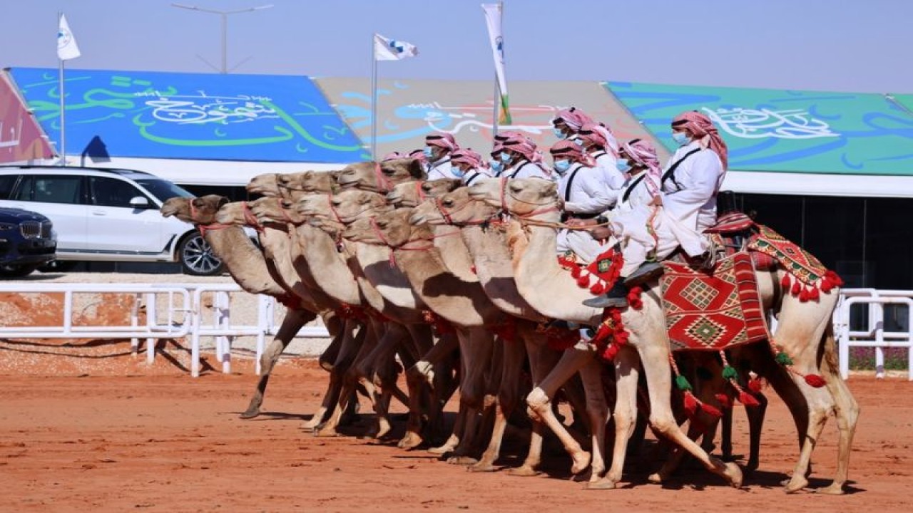 Foto Dokumen: Foto yang diabadikan pada 5 Januari 2022 ini menunjukkan orang-orang menunggang unta untuk berparade selama Festival Unta Raja Abdulaziz yang diadakan di timur laut Riyadh, ibu kota Arab Saudi. ANTARA/Xinhua/Wang Haizhou