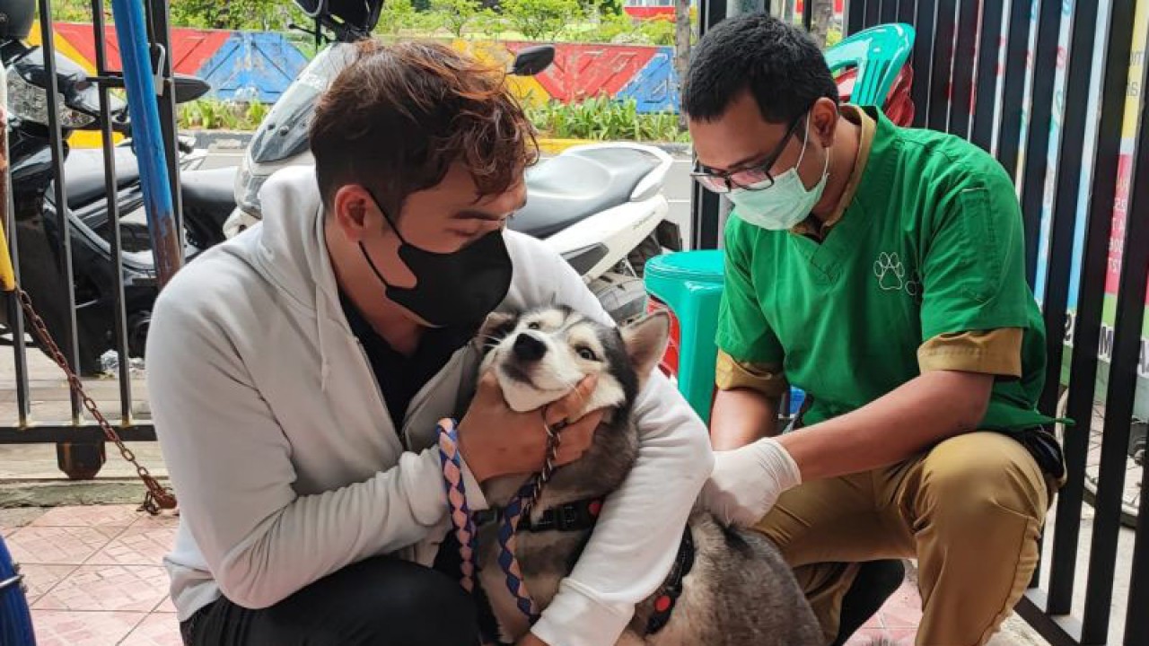Petugas vaksin (vaksinator) Suku Dinas Ketahanan Pangan, Kelautan dan Perikanan (KPKP) Jakarta Timur tengah menyuntik vaksin rabies pada anjing di Sekretariat RW 01, Kelurahan Kayu Manis, Kecamatan Matraman, Jakarta Timur, Senin (10/7/2023). ANTARA/Syaiful Hakim