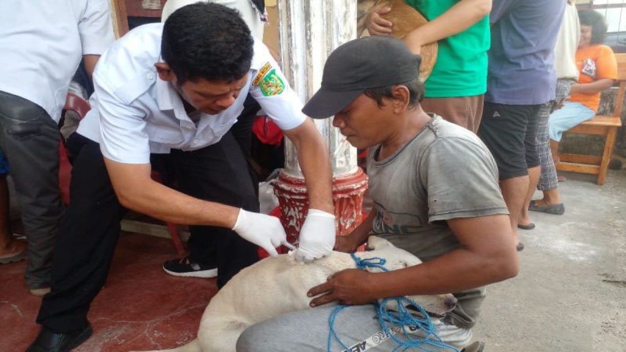 Pemerintah Kota Medan melalui Dinas Ketahanan Pangan, pertanian dan Perikanan melakukan suntik vaksinas terhadap hewan peliharaan di Kecamatan Medan Tuntungan, Kota Medan, Sumatera Utara, Rabu (26/7/2023). (ANTARA/M Sahbainy Nasution)