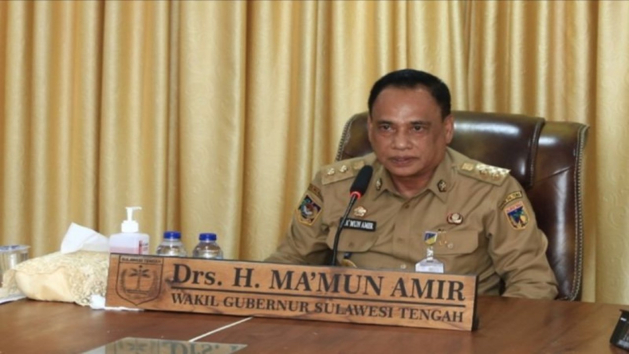 Wakil Gubernur Sulteng Ma'mun Amir (ANTARA/HO-Prokopim Setda Pemprov Sulteng)