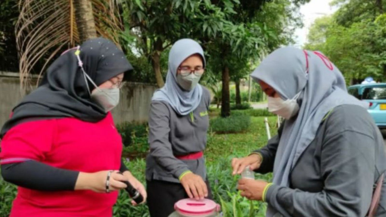 Arsip Foto - Warga Kelurahan Selong, Kecamatan Kebayoran Baru, Jakarta Selatan, mengecek jentik nyamuk di genangan air, Jumat (9/12/2022). ANTARA/HO-Kominfotik Jakarta Selatan