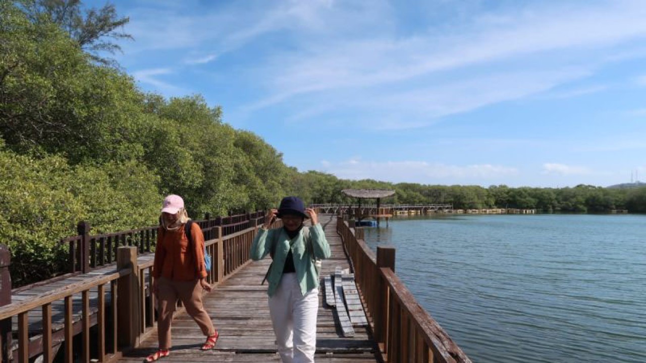 Wisatawan berjalan di atas jembatan hutan mangrove di Pulau Gili Meno, Kabupaten Lombok Utara, Nusa Tenggara Barat, Kamis (13/7/2023). (ANTARA/Sugiharto Purnama)