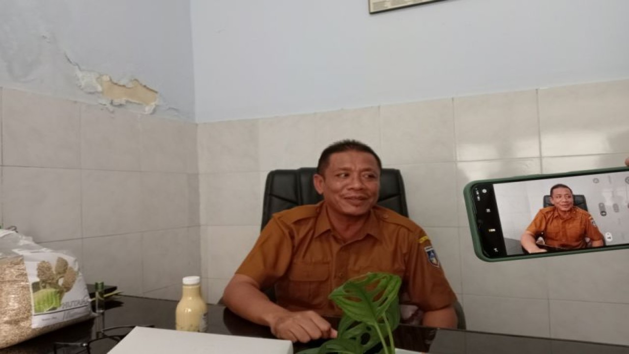 Kepala Bidang Perkebunan pada Dinas Pertanian Kabupaten Lombok Tengah, Nusa Tenggara Barat, Zaenal Arifin (ANTARA/Akhyar)