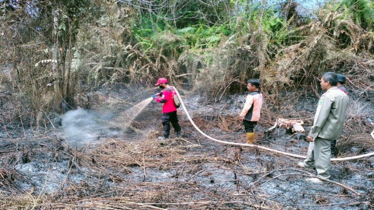 Arsip Foto - Petugas memadamkan lahan yang terbakar di Desa Giri Purwa, Kecamatan Penajam, Kabupaten Penajam Paser Utara, Provinsi Kalimantan Timur, pada 5 Agustus 2023. (ANTARA/HO BPBD Kabupaten PPU)