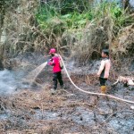 56 titik panas terdeteksi di wilayah Kalimantan Timur-1693297398