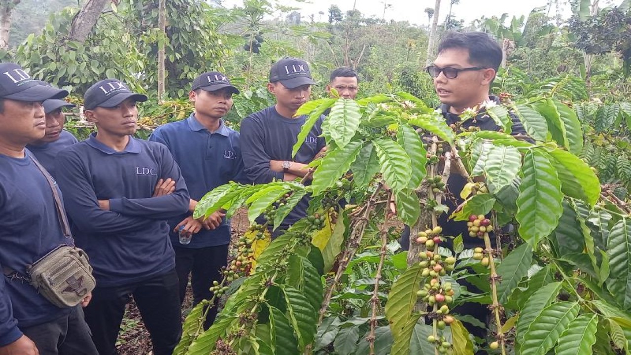 Agronomis LDC Area Lampung Gusti Putu Setiawan (berkaca mata) saat memberikan pelatihan kepada petani kopi di Pekon Gunung Sari, Ulubelu, Tanggamus, Lampung. ANTARA/Agus Wira Sukarta