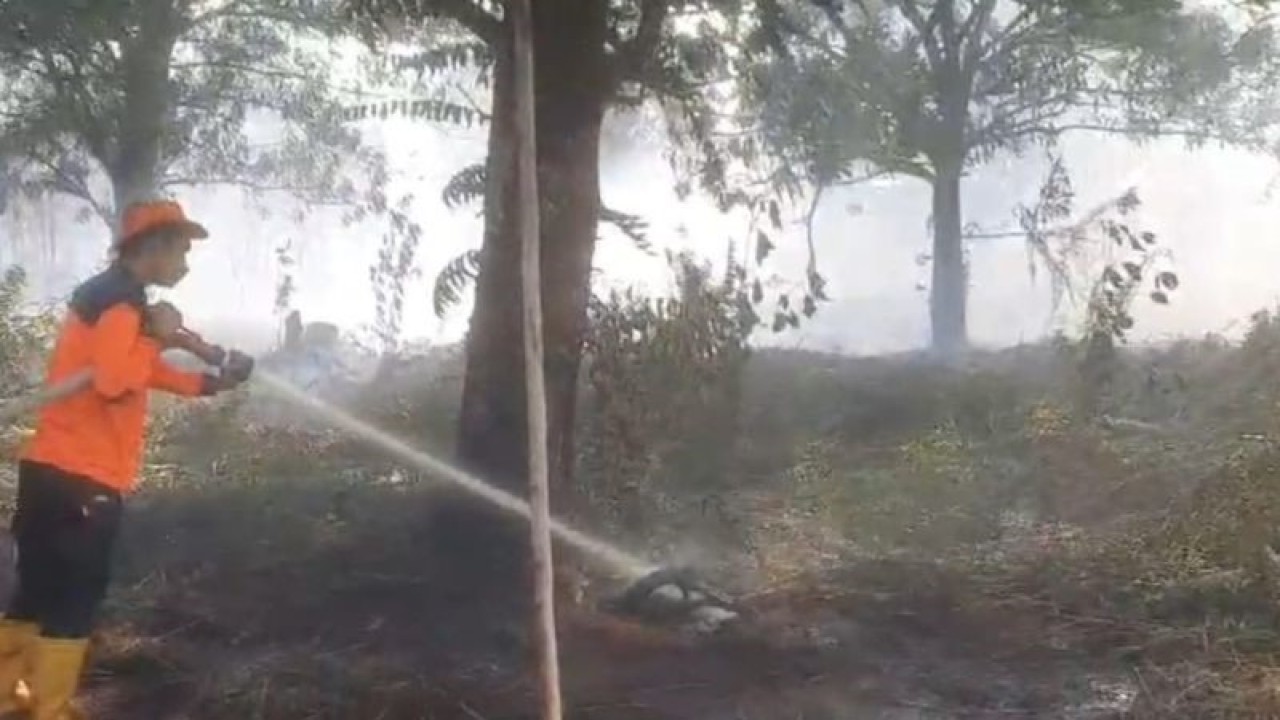 Aksi pemadaman oleh BPBD Kalbar terhadap lahan terbakar di Kubu Raya, Rabu (16/8/2023). (ANTARA/Dedi)