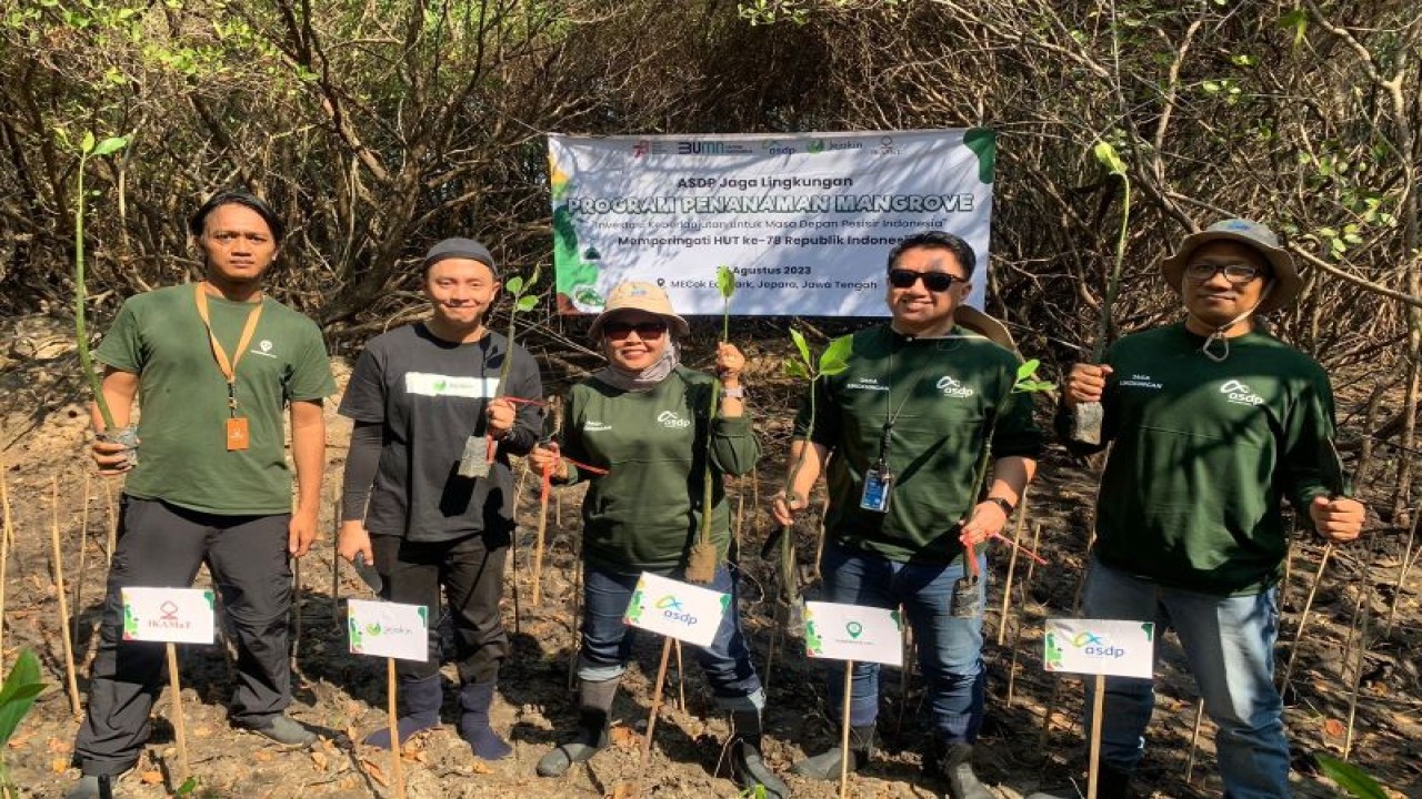 Kegiatan menanam 1.000 bibit pohon mangrove oleh ASDP dan Jejakin di Jepara, Jawa Tengah. ANTARA/HO-ASDP Indonesia Ferry.